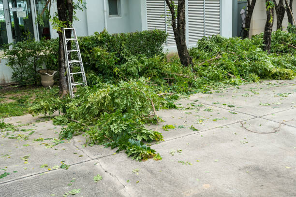 Lawn Pest Prevention in Galion, OH